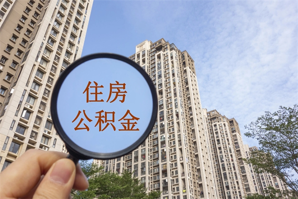 福鼎公积金没有材料怎么提取（福鼎公积金没有本子可以取吗）